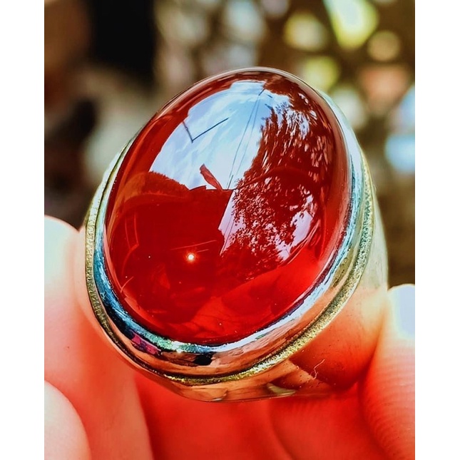 Cincin Sulaiman Penunduk